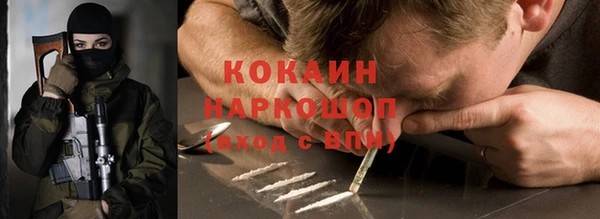 крисы Строитель