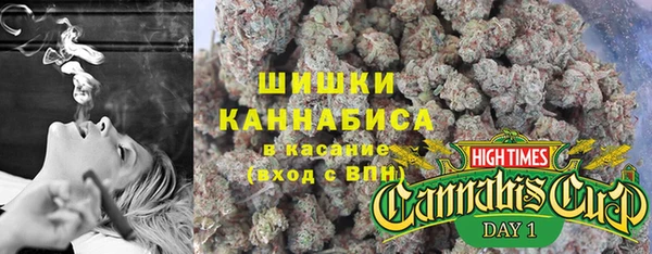 2c-b Дмитриев