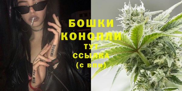крисы Строитель